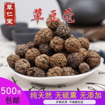 云南野生中药材豆蔻草豆蔻500g包邮