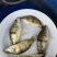 鳜鱼苗，桂花鱼苗，大规格鳜鱼苗，大规格鳜鱼苗大量现货
