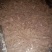 艾生湘中魔芋豆腐批发（全年供货，十年老店，诚信经营）
