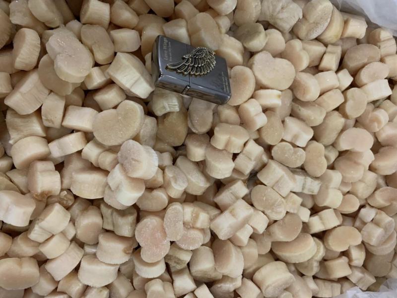 【江瑶贝柱】带子肉，瑶柱扇贝柱新鲜带子瑶贝丁