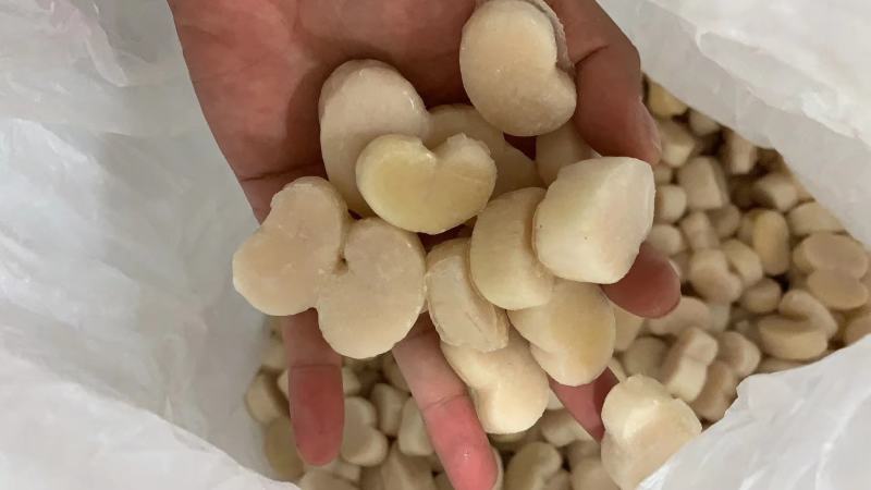 【江瑶贝柱】带子肉，瑶柱扇贝柱新鲜带子瑶贝丁