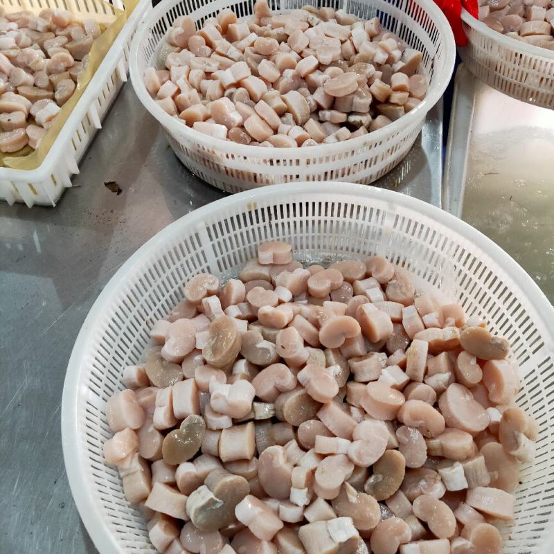 【江瑶贝柱】带子肉，瑶柱扇贝柱新鲜带子瑶贝丁