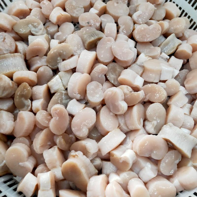 【江瑶贝柱】带子肉，瑶柱扇贝柱新鲜带子瑶贝丁