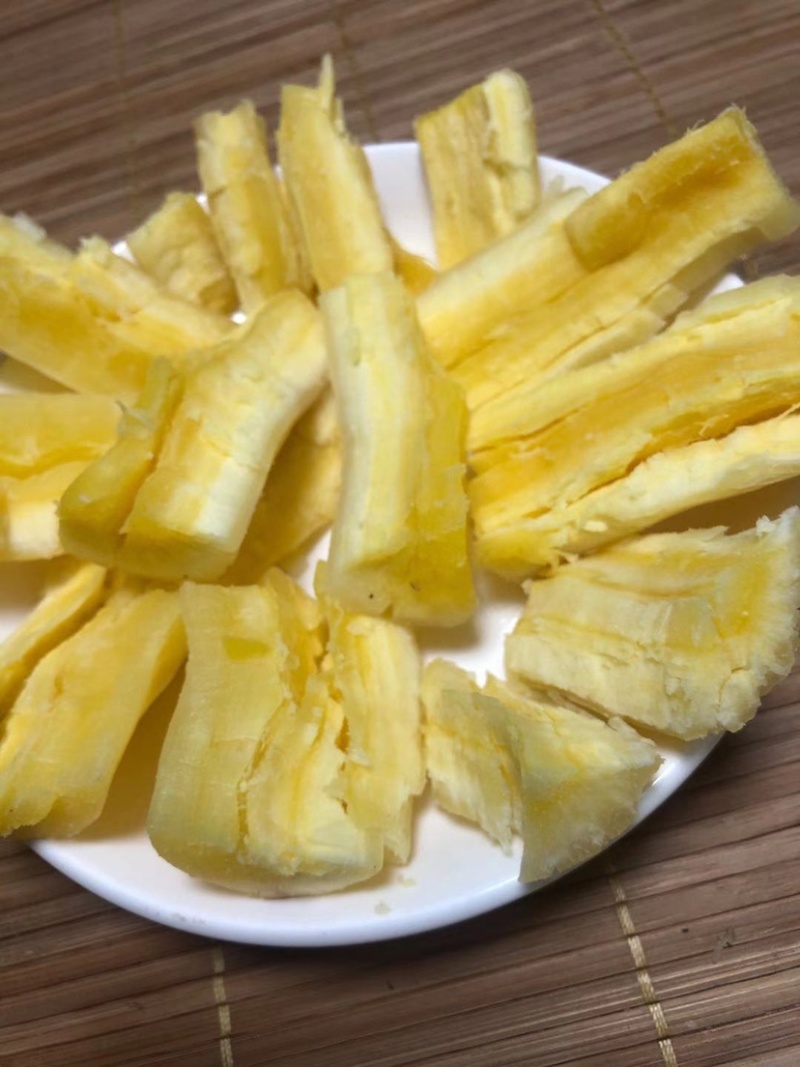 华南9号黄肉木薯种木薯茎食用面包木薯种保证正宗