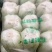 无公害种植，白菜，特色优质品种，黄心，青杂白菜