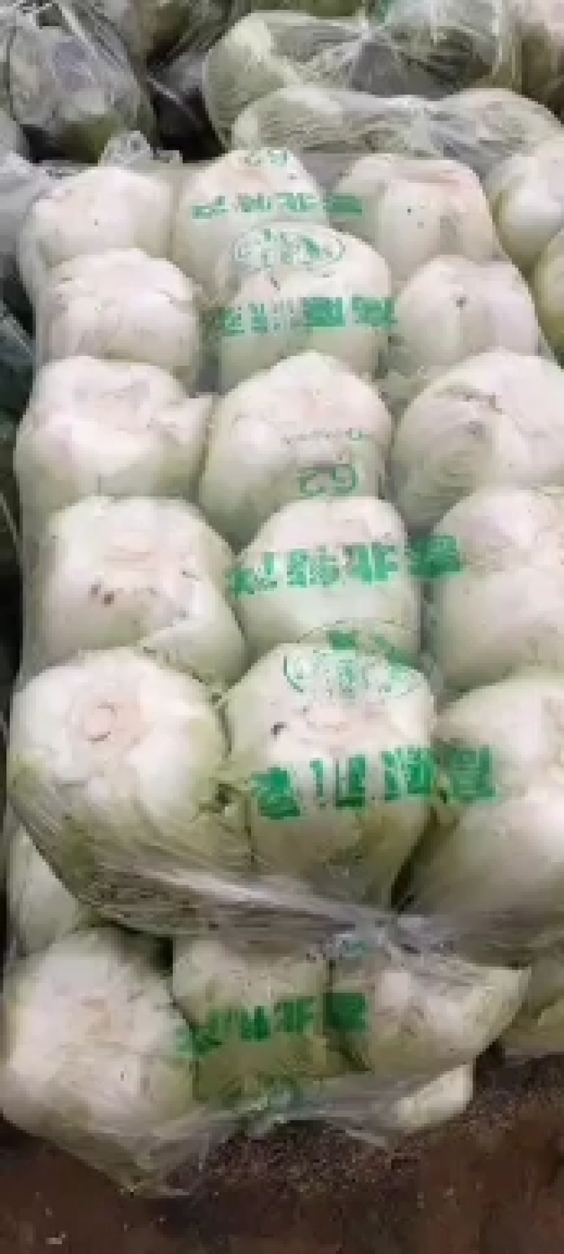 无公害种植，白菜，特色优质品种，黄心，青杂白菜