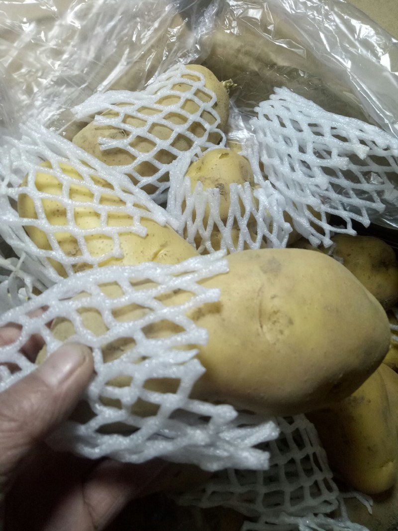 安丘市精品库存土豆大量出库。质量保证好，价格底，欢迎光临