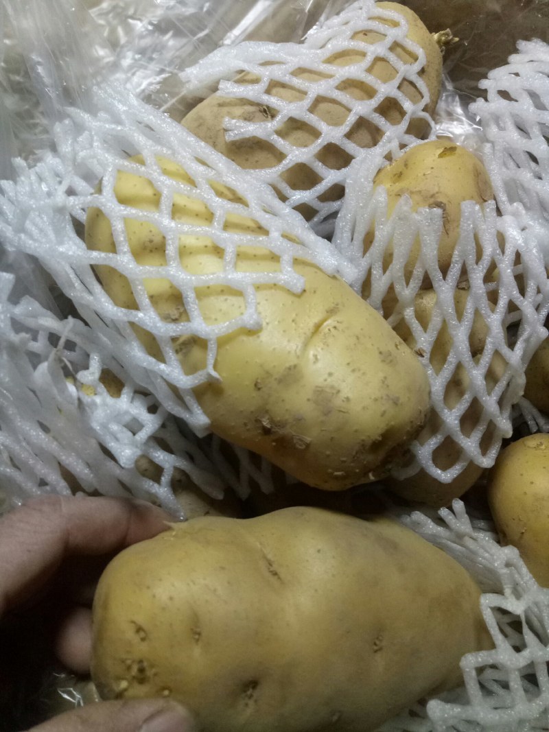 安丘市精品库存土豆大量出库。质量保证好，价格底，欢迎光临