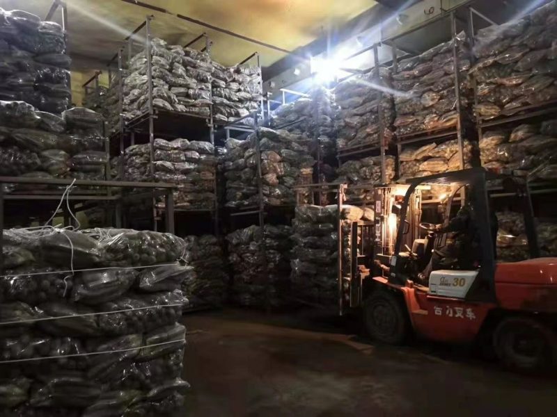 山东潍坊青萝卜高品质低价格清库甩**电商加工厂