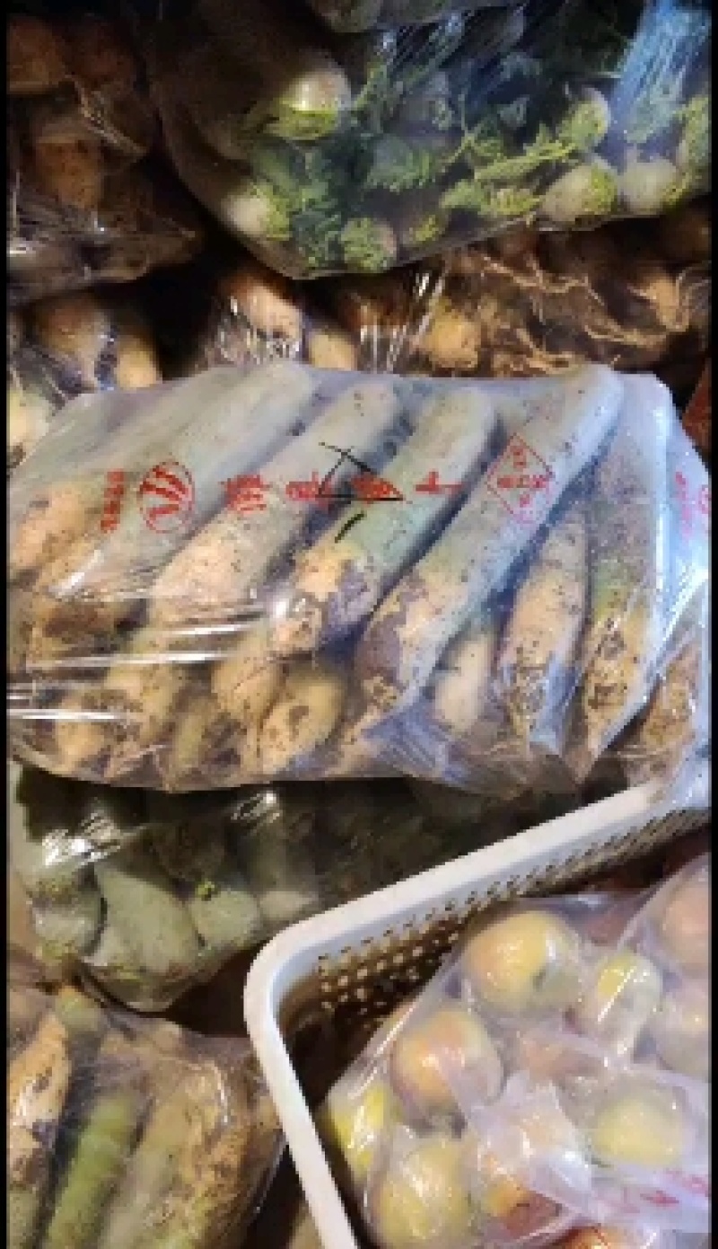山东潍坊青萝卜高品质低价格清库甩**电商加工厂