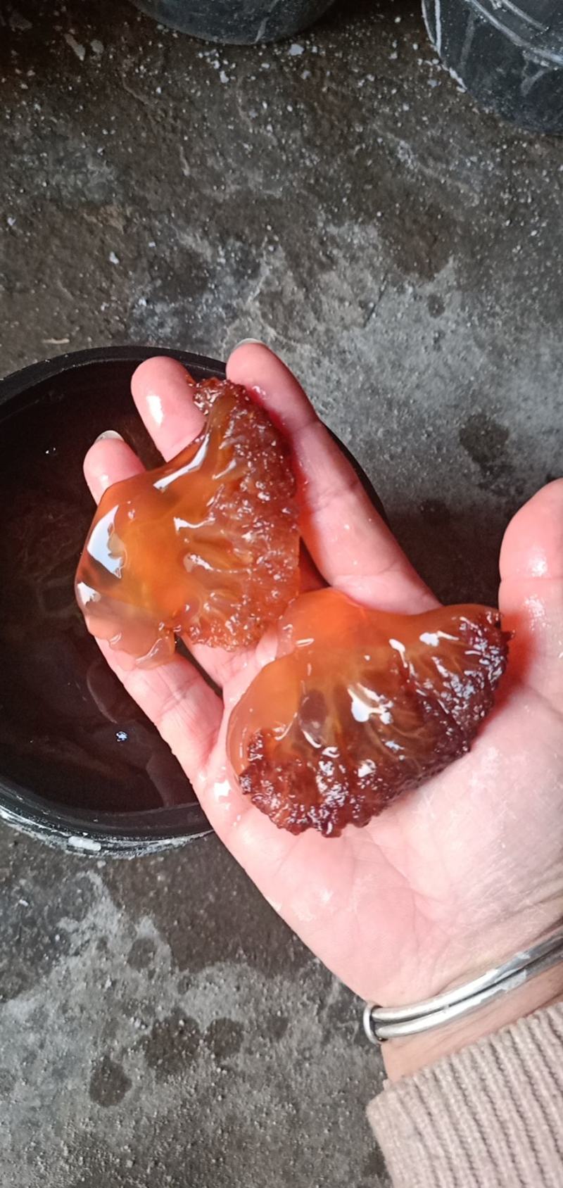 海蜇头，红头单角大个单角。产地直销，大量有货。