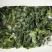速冻荠菜馅，速冻荠菜整棵大量现货批发价