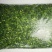 速冻荠菜馅，速冻荠菜整棵大量现货批发价