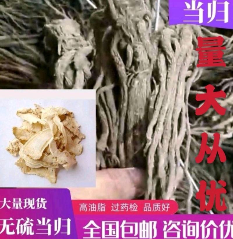 甘肃优质当归颗粒，当归头，当归片，整条当归，全国包邮。