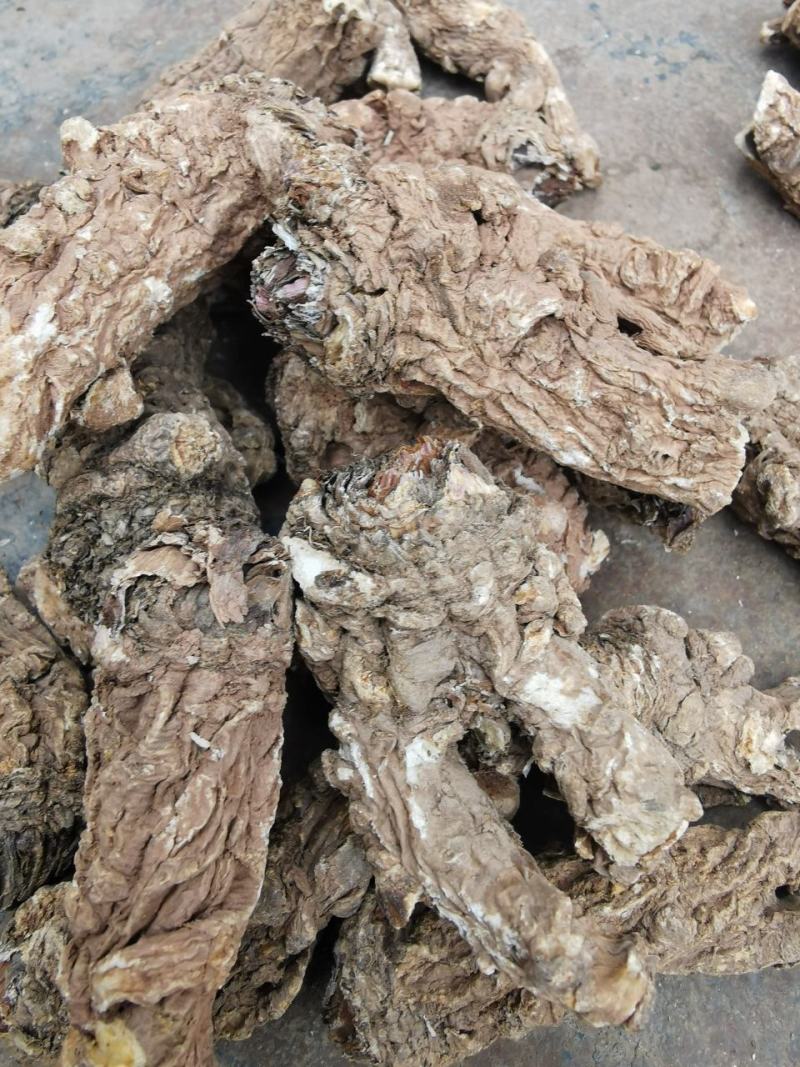 甘肃优质当归颗粒，当归头，当归片，整条当归，全国包邮。