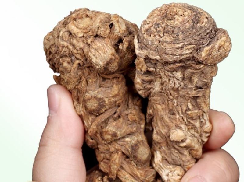 甘肃优质当归颗粒，当归头，当归片，整条当归，全国包邮。