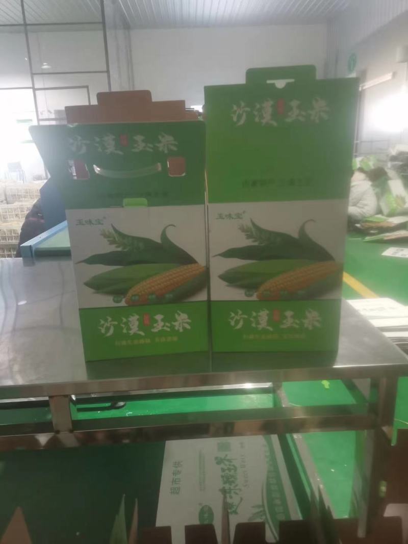 真空甜糯玉米冷冻冷藏玉米