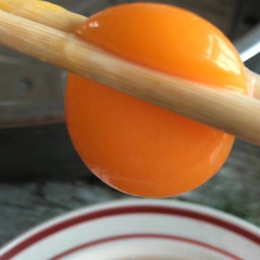 自家鸡厂鸡蛋大量供应