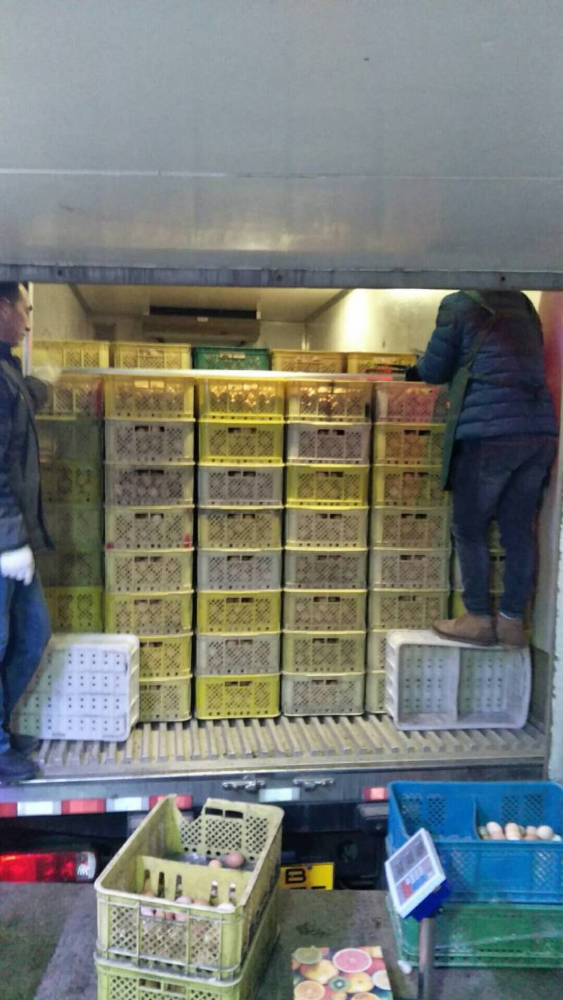 自家鸡厂鸡蛋大量供应