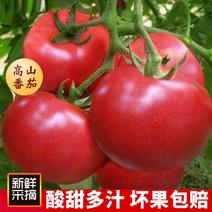 西红柿沙瓤西红柿山东寿光3-5斤一件代发