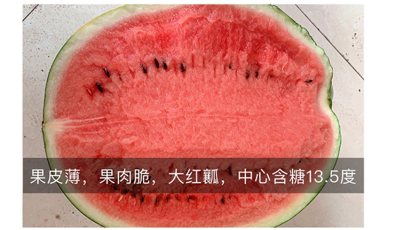 甜王西瓜种子高产四季麒麟早熟超特大红瓤耐裂薄皮盖世西瓜