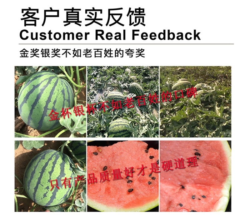 甜王西瓜种子高产四季麒麟早熟超特大红瓤耐裂薄皮盖世西瓜