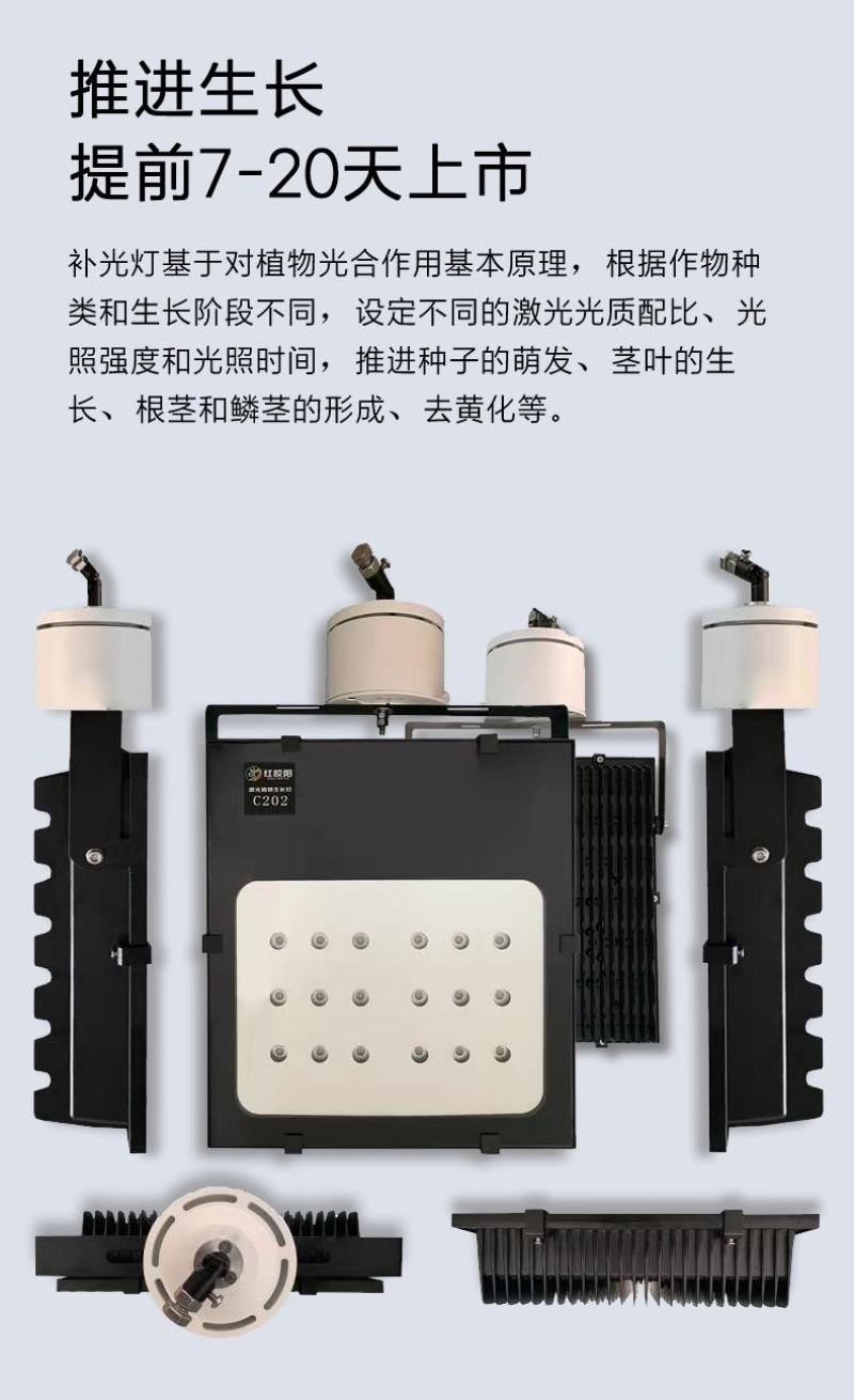 大棚补光灯植物补光灯生长灯蔬菜辣椒黄瓜西红柿补光灯