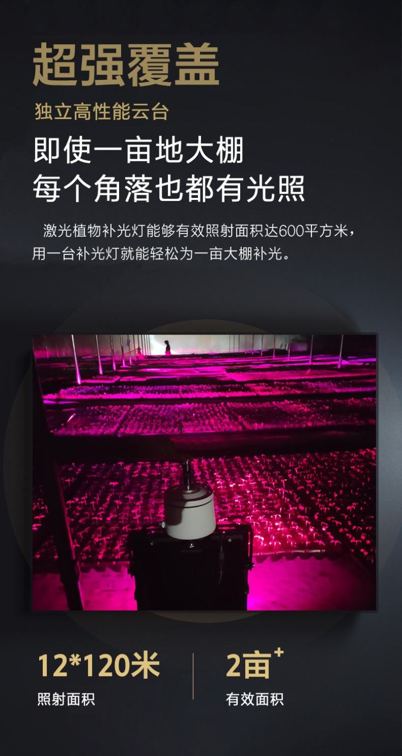 大棚补光灯植物补光灯生长灯蔬菜辣椒黄瓜西红柿补光灯