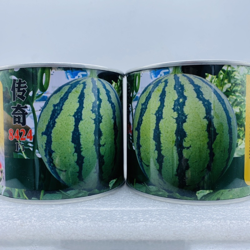 甜王西瓜种子高产四季麒麟早熟超特大红瓤耐裂薄皮盖世西瓜