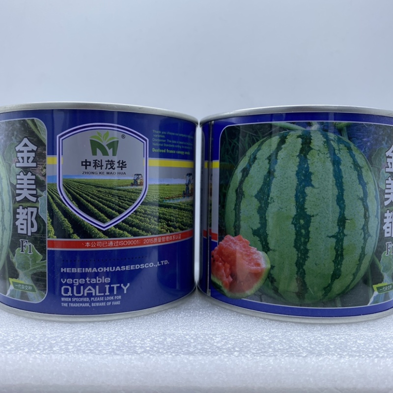 甜王西瓜种子高产四季麒麟早熟超特大红瓤耐裂薄皮盖世西瓜