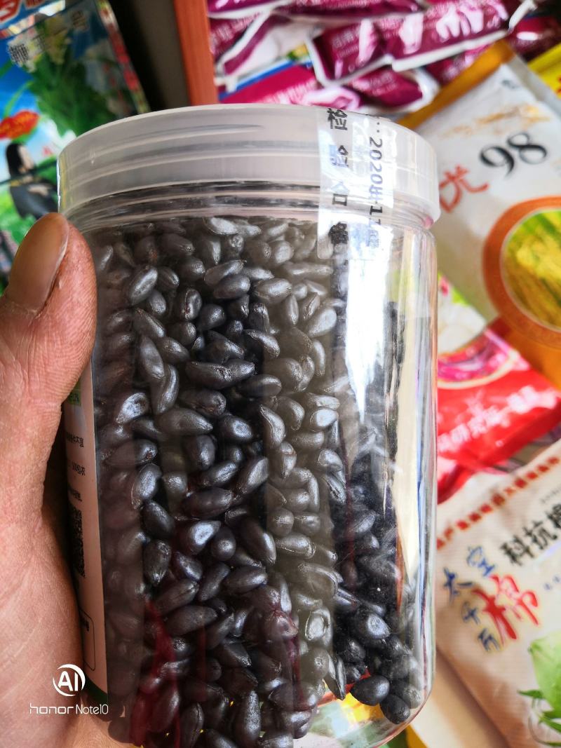 鄂棉24黄冈市农科院选育