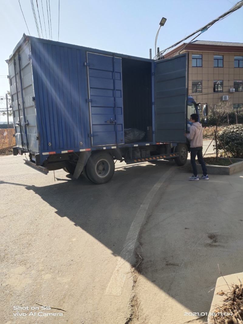 桑葚苗无籽大十果桑香金葚新品白长果桑奶油味口感甜