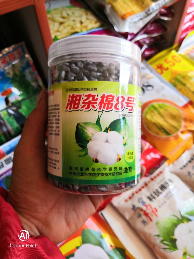 湘杂棉8号湖南省农科院选育