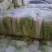 娃娃菜，无虫眼，无烧心，精品娃娃菜，大小都有，规格全！