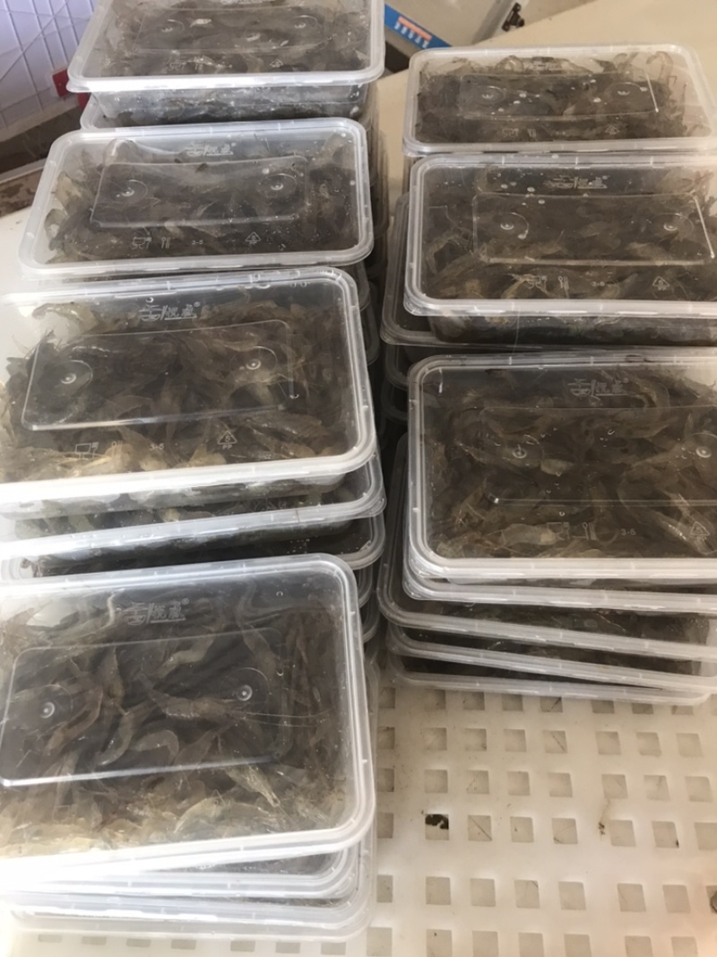 小河虾，小土虾，青虾，活冻品质，自然生态补捞，产地，广东