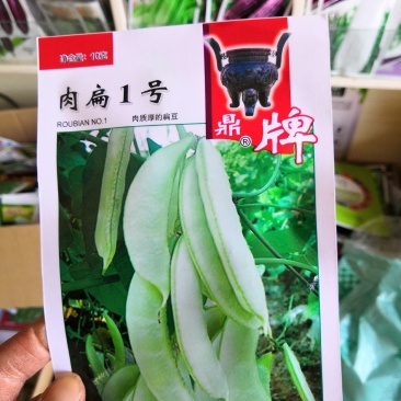肉扁一号移栽五十天后可上市。比同类品种早100天上市