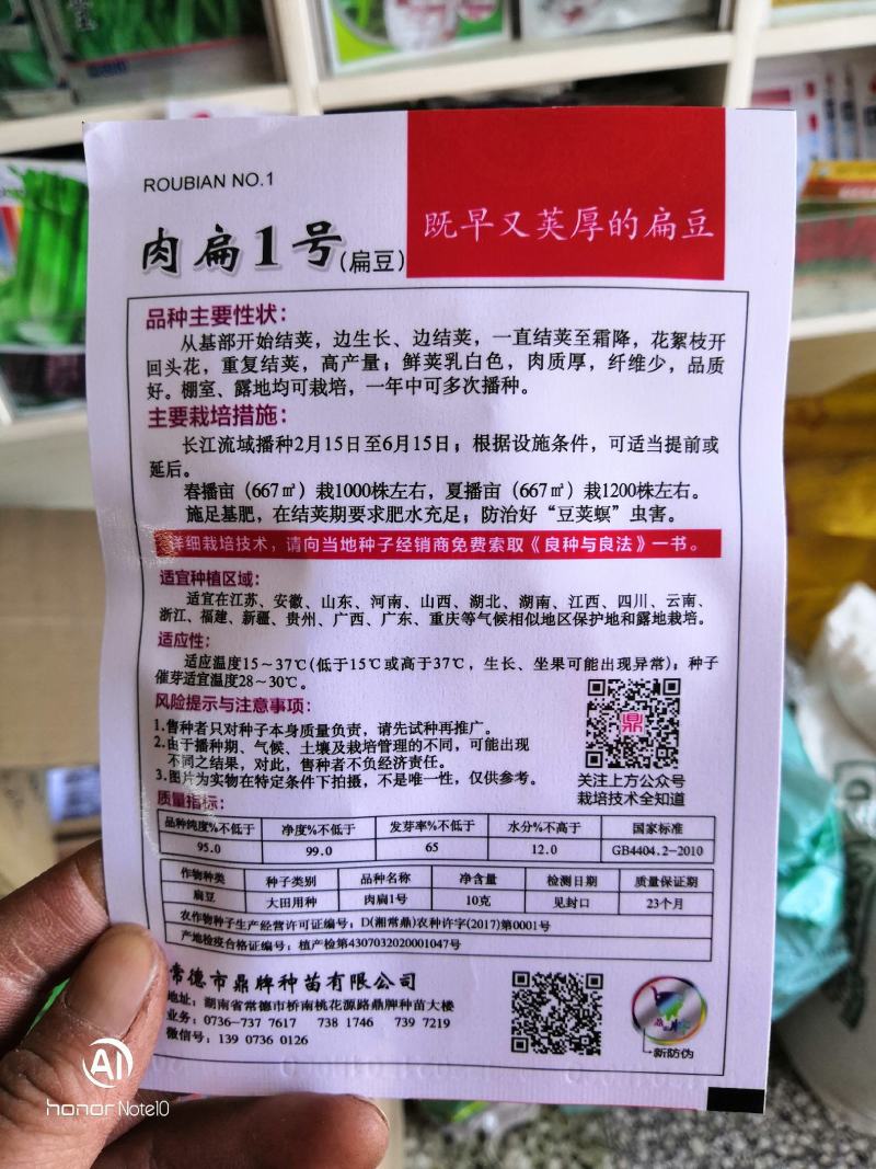肉扁一号移栽五十天后可上市。比同类品种早100天上市