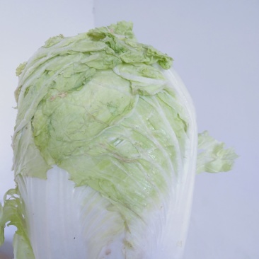 爆头大白菜，保质保量，一手货源，没中间差价实力代收处