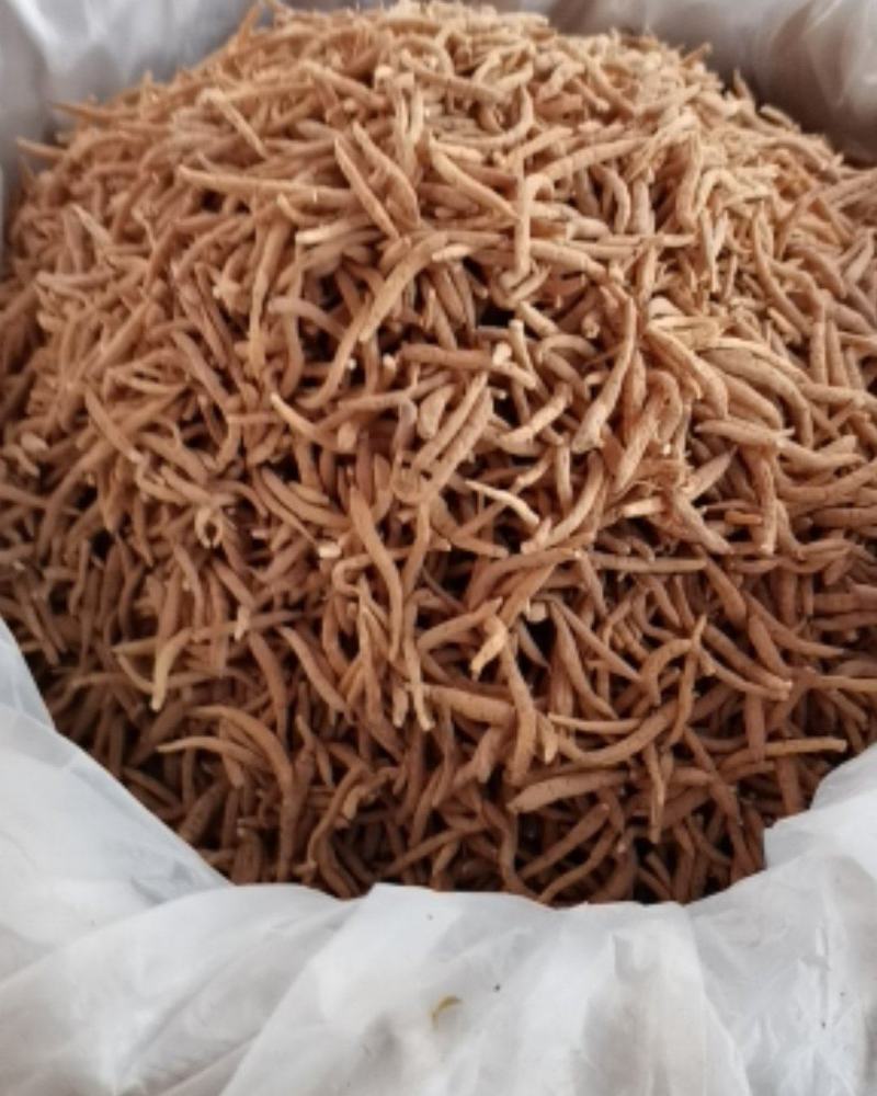 新货太子参各规格齐全，无硫全干，大量上市批零兼营，