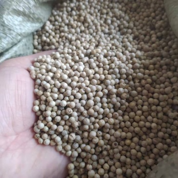 白胡椒产地直供支持线上交易可搭配多品种采购大货联系