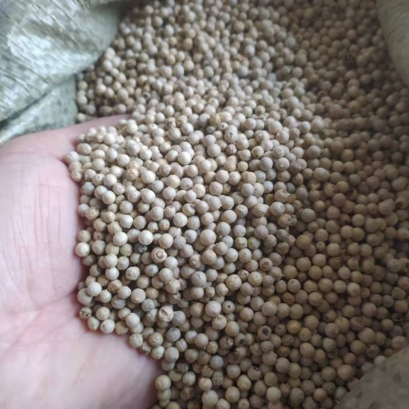 白胡椒产地直供支持线上交易可搭配多品种采购大货联系