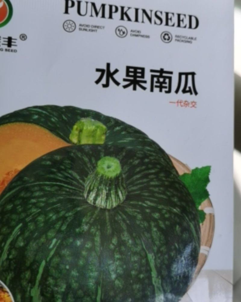 水果南瓜种子小南瓜甜面香口感好基地大面积种植
