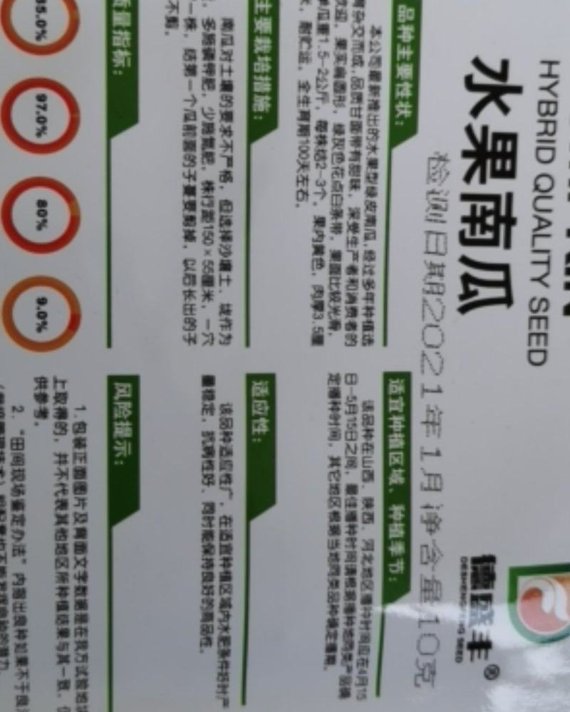 水果南瓜种子小南瓜甜面香口感好基地大面积种植