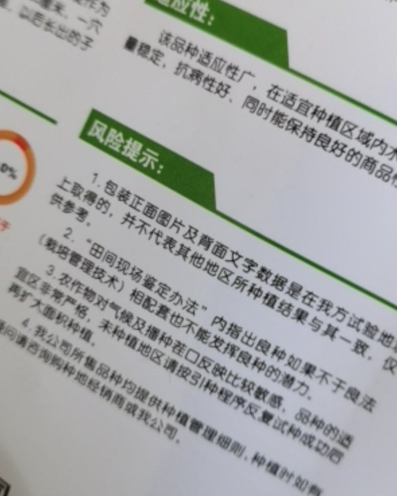 水果南瓜种子小南瓜甜面香口感好基地大面积种植