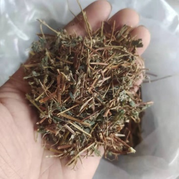 雾水葛地消散产地直供支持线上交易可搭配多品种采购