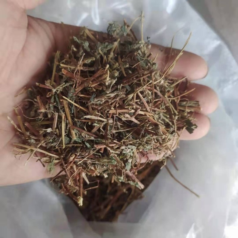 雾水葛地消散产地直供支持线上交易可搭配多品种采购