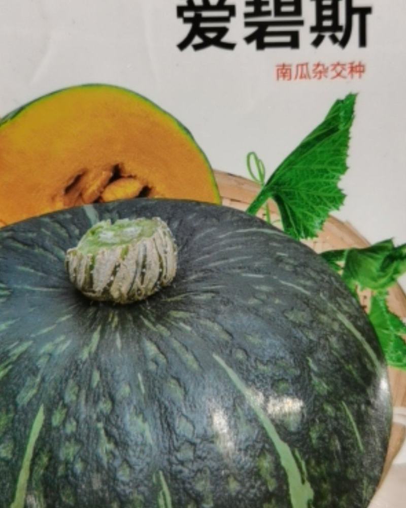 爱碧斯南瓜种子板栗味甜香糯四季种植大田种植