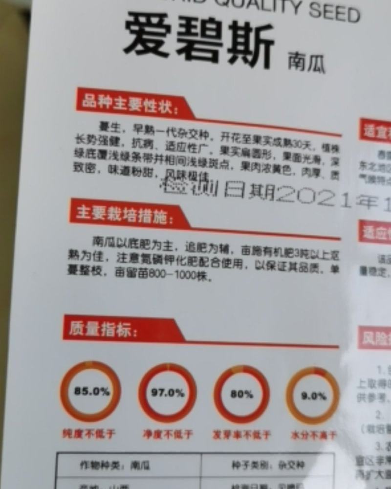 爱碧斯南瓜种子板栗味甜香糯四季种植大田种植