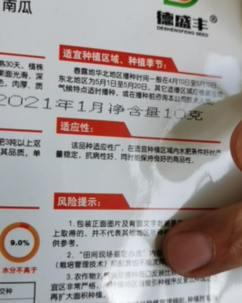 爱碧斯南瓜种子板栗味甜香糯四季种植大田种植