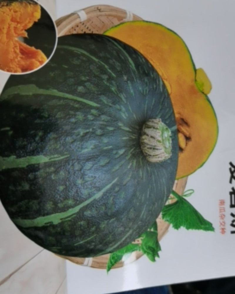 爱碧斯南瓜种子板栗味甜香糯四季种植大田种植